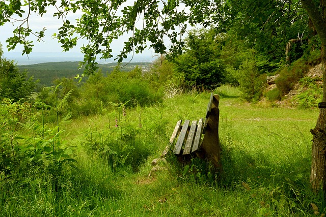 取得了成功 取得了成功