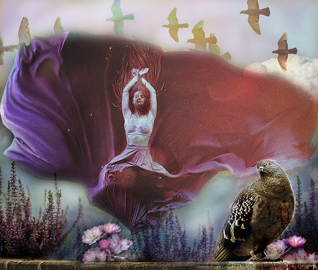 仅展示了球 仅展示了球