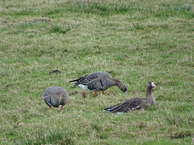在此背景下 在此背景下