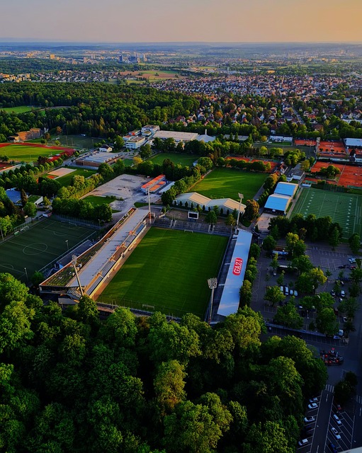 東京奧運會德國國奧隊陣容名單.