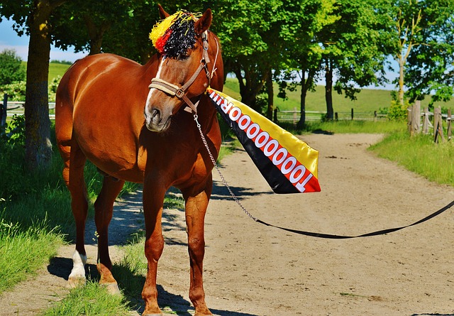 团结就是力 团结就是力